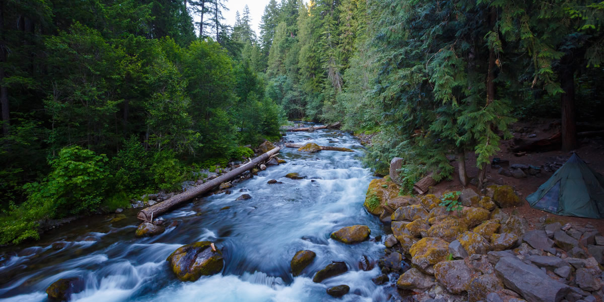 RV Sites & Mobile Homes